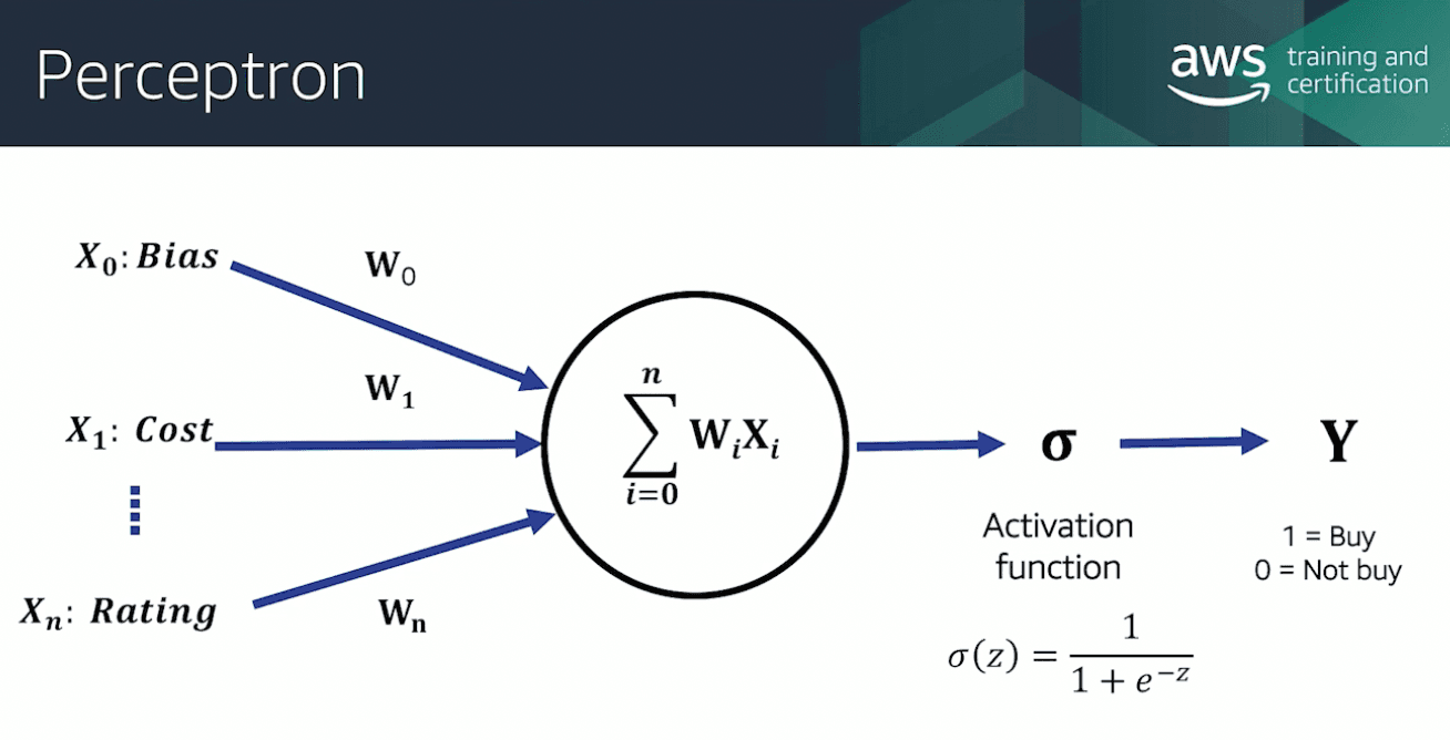 Perceptron Equation